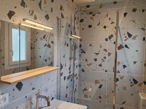 a bathroom with a shower and a sink at L'Aubier in Saint-Maur