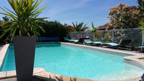 une grande piscine avec des chaises et un palmier dans l'établissement Entre Mer et Vignes, à Nissan-lez-Enserune
