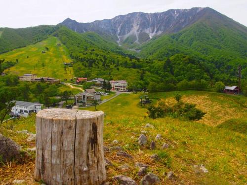 アパートメントの近くで見られる自然の景観