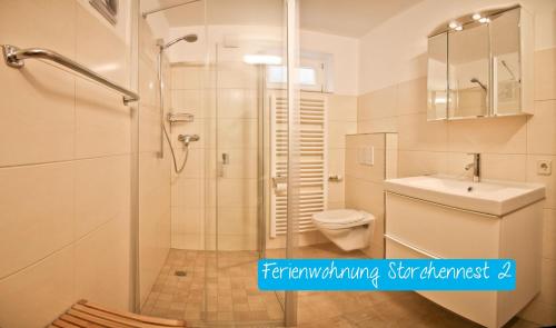 a bathroom with a shower and a toilet and a sink at Ferienwohnung Storchennest 2 in Waldshut-Tiengen