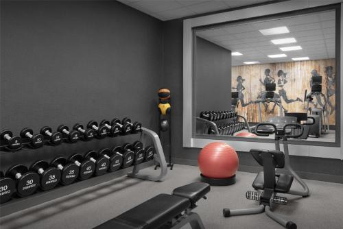 Fitness centrum a/nebo fitness zařízení v ubytování Hilton Garden Inn Auburn/Opelika