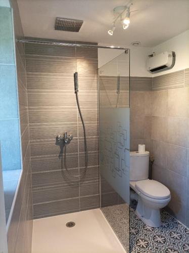 une salle de bain avec douche et toilettes dans l'établissement Love Room, L'aubertine, à Putanges
