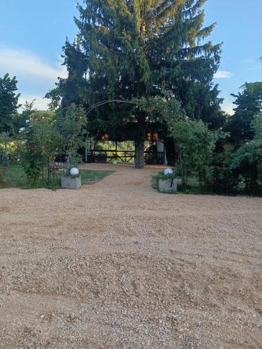 Κήπος έξω από το Agriturismo Casa Rastelli