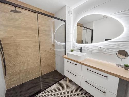 a bathroom with a shower and a sink at T3 Cosy climatisé à Albi avec Terrasse, & Parking in Albi