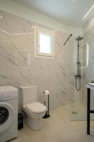 a bathroom with a toilet and a washing machine at Sotale Suites in Apolpaina