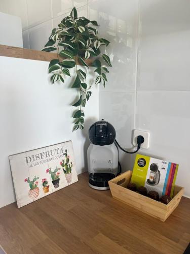 a plant sitting on a counter next to a coffee maker at Duplex de Zoraida in Roquetas de Mar