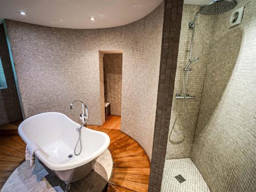 a bathroom with a sink and a shower at Château de Candie in Chambéry