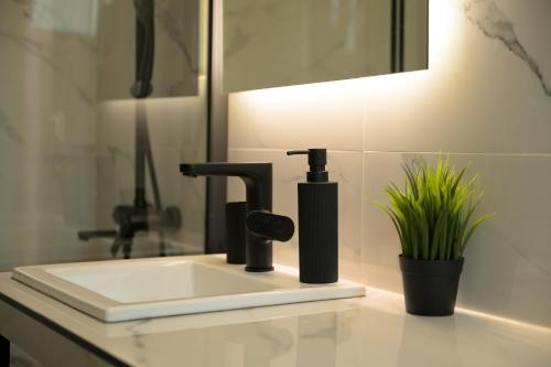 a bathroom sink with a faucet and a plant at Sotale Suites in Apolpaina