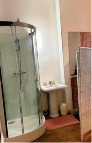 a bathroom with a shower and a sink at Manoir romantique 8 mn du lac et 2 heures de Paris in Montier-en-Der