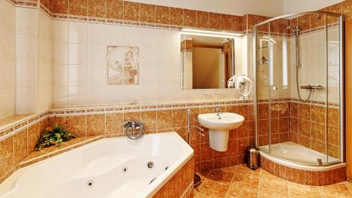 a bathroom with a tub and a sink and a toilet and a mirror at Penzion Bird's Nest in Brno