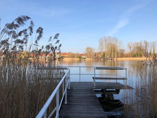 a wooden dock with a bench on a lake at Ferienhaus Geers am Klostersee Dargun in Dargun
