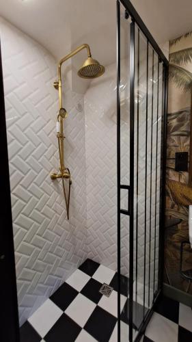 a shower with a black and white checkered floor at La Maison du Griffoul BB à Salles la Source cascade et terroir in Salles-la-Source