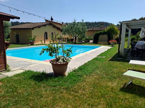 a potted plant sitting in the grass next to a pool at Guest House Torre Guelfa,Giaggiolaia Via San Martino Altoreggi 20 in Figline Valdarno