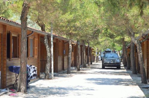 a truck driving down a road next to a row of trees at Camping La Pineta in Porto Recanati