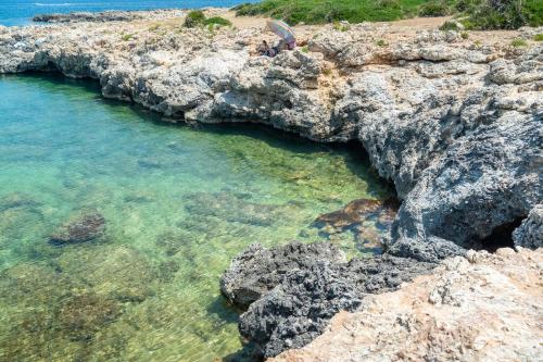 Φυσικό τοπίο κοντά σε αυτή η βίλα