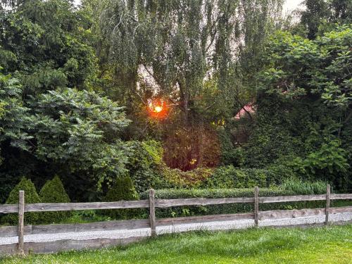 Un jardín fuera de Glamping Stacja Zieleniec w Nałęczowie