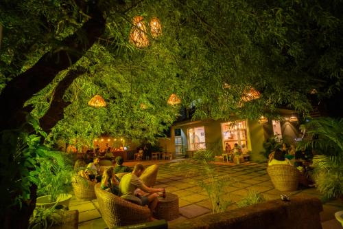 Zahrada ubytování Locomo Boutique, Morjim - Cozy tropical stay, near beach