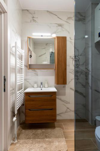 a bathroom with a sink and a mirror at Apartman 51 Sarajevo in Donje Mladice