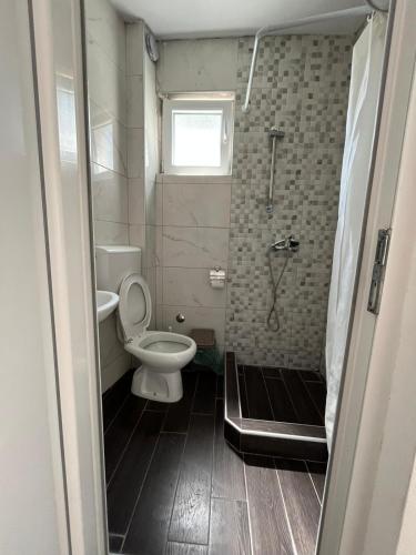 Gallery image of Apartmani Aleksandar Rudinac Čanj in Čanj