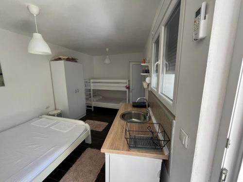 Gallery image of Apartmani Aleksandar Rudinac Čanj in Čanj