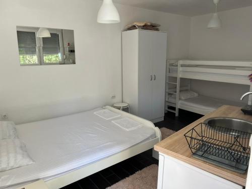 Gallery image of Apartmani Aleksandar Rudinac Čanj in Čanj