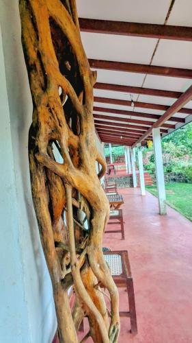 Galería fotográfica de Sinharaja Forest Lodge - Deniyaya en Dombagoda