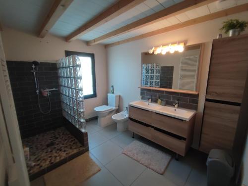 une salle de bain avec un lavabo, une douche et des toilettes dans l'établissement Mas des Oliviers, à Maillane