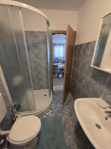 a bathroom with a toilet and a sink at Apartma Aja in Debeljak