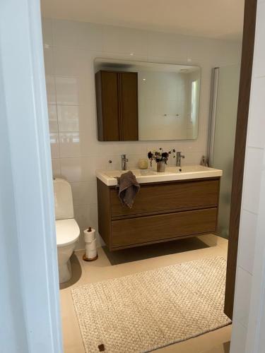 a bathroom with a sink and a toilet and a mirror at Villa Lysholmen in Särö