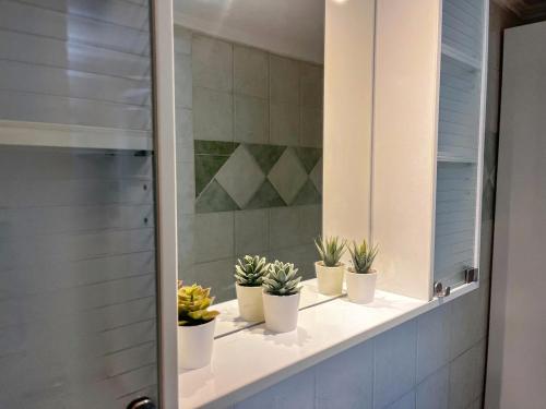 a bathroom with five potted plants on a counter at Wake in the Lake in Agios Nikolaos