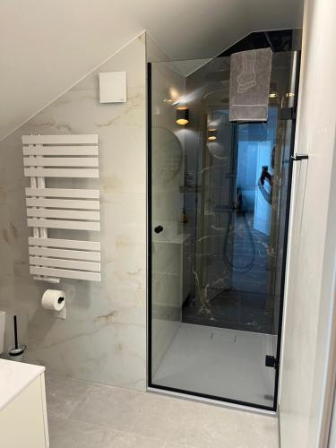 a glass shower in a bathroom with at Apartamenty Leśna Przystań Kazub nr 12 in Cieciorka