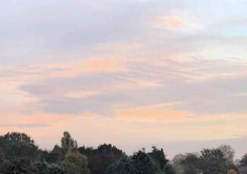 a cloudy sky with trees in the foreground at Cozy garden facing room in Erdington