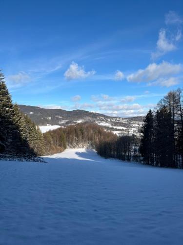 a snow covered field with trees and mountains in the background at Penzion Na Bobrovníku in Lipova Lazne