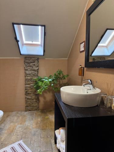 a bathroom with a sink and a mirror and a plant at Cetatuia in Măgura