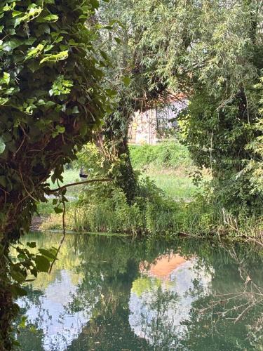 a view of a river with trees and water at Villa Madonnina in riva al fiume Tirino in Bussi sul Tirino