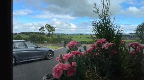 a car parked on the side of a road with flowers at Homestay Large Ensuite Room in Balnacart