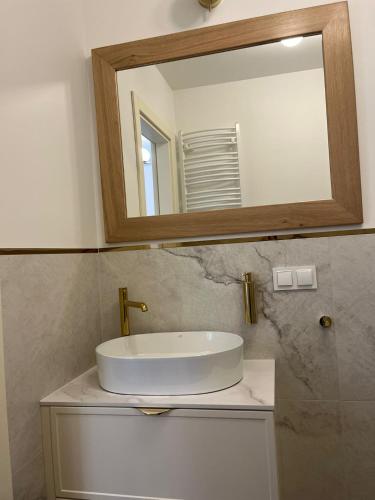 a bathroom with a sink and a mirror at Apartamenty Leśna Przystań Kazub in Cieciorka
