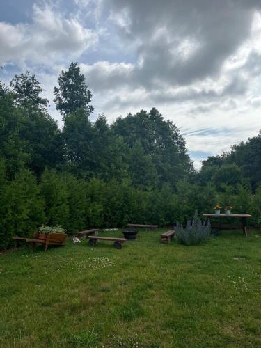 Gallery image of Zielone Domki in Wiele