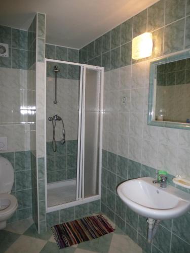 a bathroom with a shower and a sink and a toilet at Ubytování Lyžařská škola in Kubova Huť