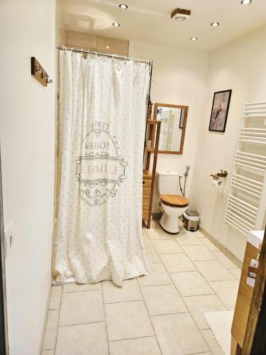 une salle de bain avec un rideau de douche et des toilettes dans l'établissement Aux Grandes Rivieres, à Madranges