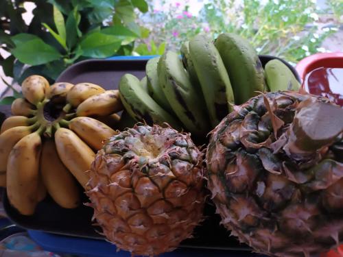 Mad i lejligheden eller i nærheden