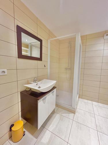 une salle de bain avec un lavabo et une douche dans l'établissement Romance sur les Remparts - Route des Vins, à Rouffach