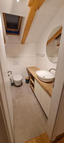 a white bathroom with a sink and a toilet at Villa Emma - luksuzna kuća s bazenom Wellness & SPA in Ražanac