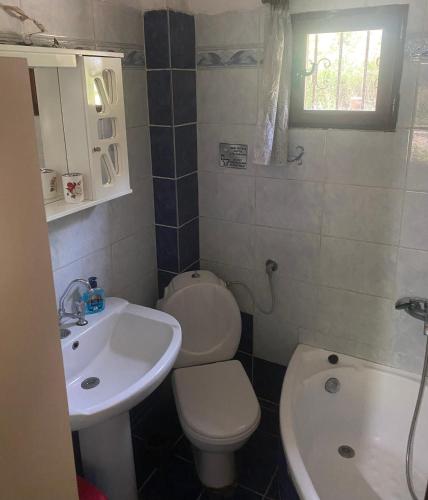 a bathroom with a toilet and a sink at ΓΑΛΗΝΗ 2 in Litochoro