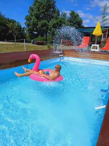 a man riding a pink flamingo in a swimming pool at Sunny Side Fruska Gora - veliko imanje sa kucom za odmor in Velika Remeta