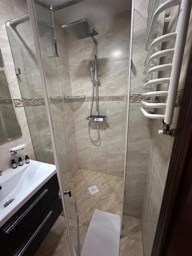 a bathroom with a shower and a sink at Едем in Brzezhany