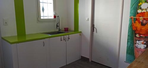 - une cuisine avec des murs verts et blancs et un évier dans l'établissement La Villa des Oliviers, à Saint-Hippolyte-de-Montaigu