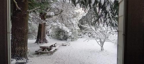 Ananda ALOJAMIENTOS PATAGONICOS v zime