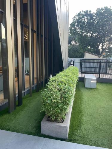 a green hedge on the side of a building at Lennox Serviced Apartments in Accra