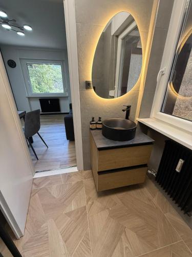 a bathroom with a sink and a mirror at Regina del bosco in Ronzone